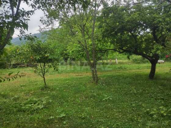 3 otaqlı Həyət evi/Bağ evi, Qəbələ