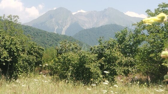 3 otaqlı Həyət evi/Bağ evi, Qəbələ