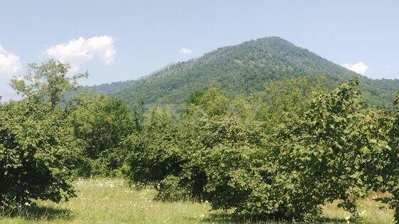 3 otaqlı Həyət evi/Bağ evi, Qəbələ