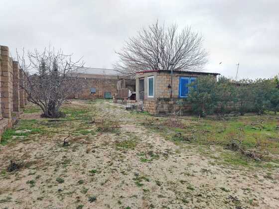 Torpaq Fatmayı q., Bakı