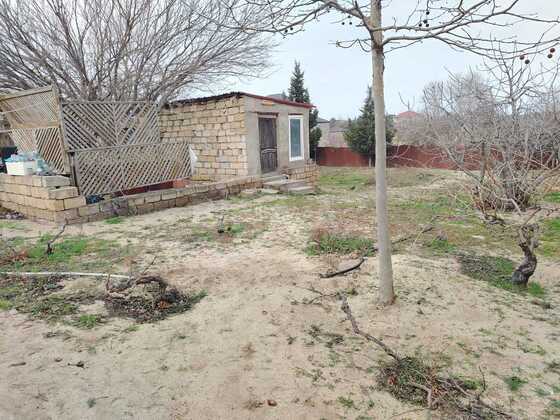 Torpaq Fatmayı q., Bakı