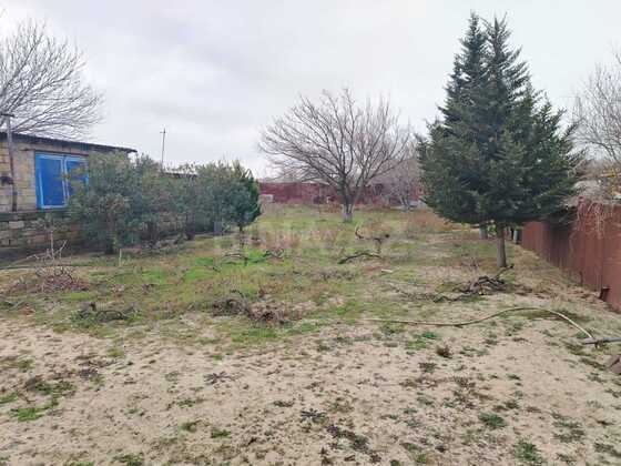 Torpaq Fatmayı q., Bakı