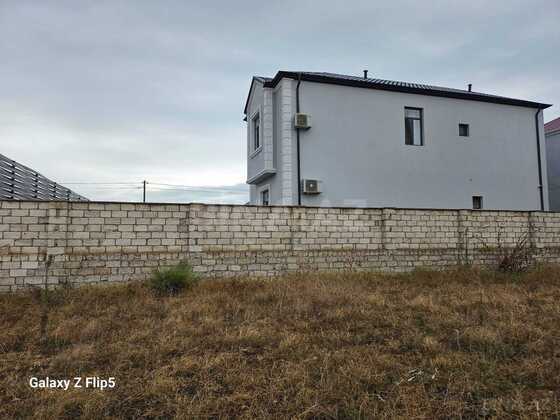 Torpaq Buzovna q., Bakı