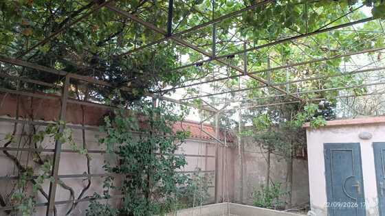 7 otaqlı Həyət evi/Bağ evi, Hökməli q., Bakı