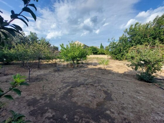 Torpaq Bilgəh q., Bakı