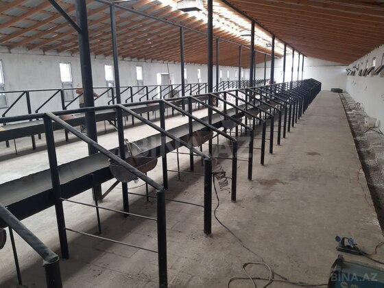 Obyekt Müşfiqabad q., Bakı