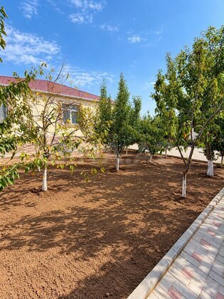 4 otaqlı Həyət evi/Bağ evi, Şüvəlan q., Bakı