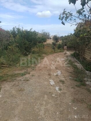 Torpaq Mehdiabad q., Bakı