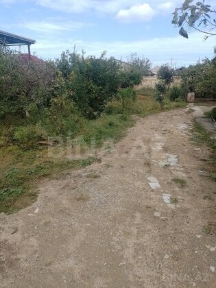 Torpaq Mehdiabad q., Bakı