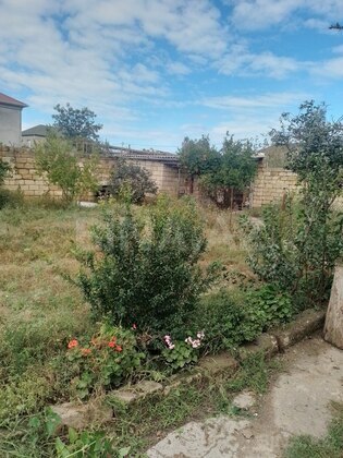 Torpaq Mehdiabad q., Bakı