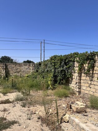 Torpaq Görədil q., Bakı