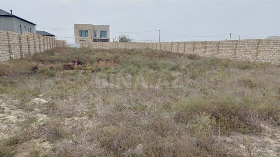Torpaq Nardaran q., Bakı