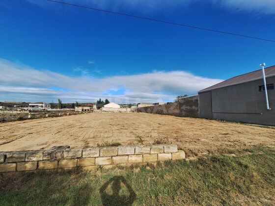 Torpaq Nardaran q., Bakı