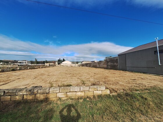 Torpaq Nardaran q., Bakı