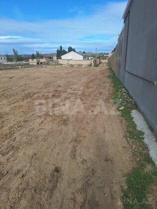 Torpaq Nardaran q., Bakı