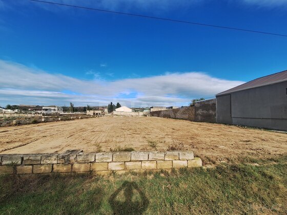 Torpaq Nardaran q., Bakı