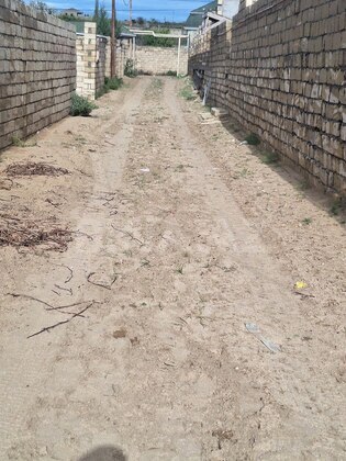 Torpaq Nardaran q., Bakı