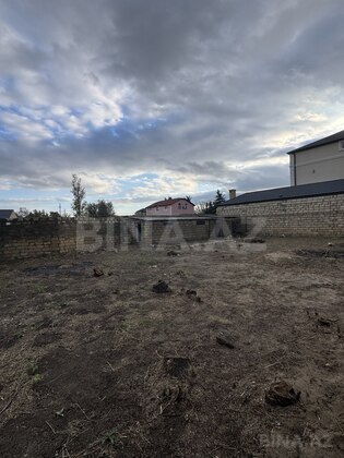 Torpaq Novxanı q., Bakı