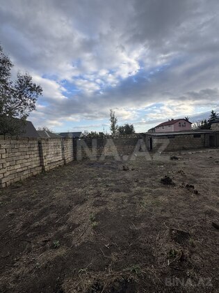 Torpaq Novxanı q., Bakı