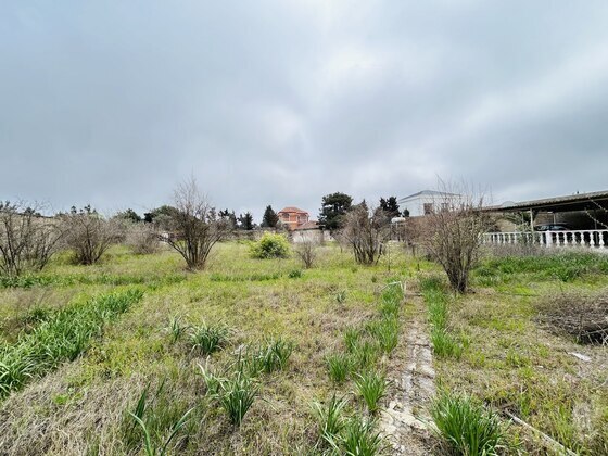Torpaq Mərdəkan q., Bakı