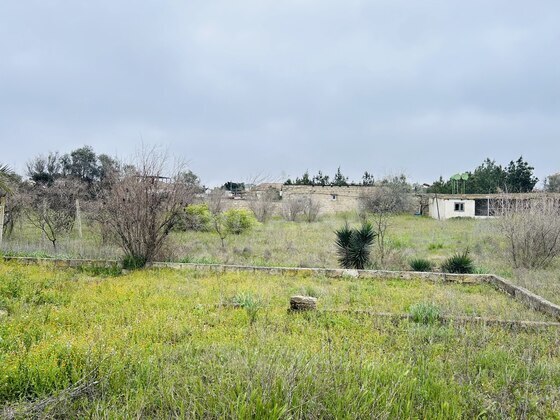 Torpaq Mərdəkan q., Bakı