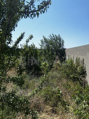 4 otaqlı Həyət evi/Bağ evi, Nardaran q., Bakı