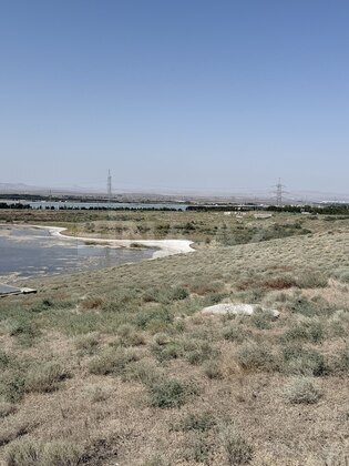 Torpaq Saray q., Bakı