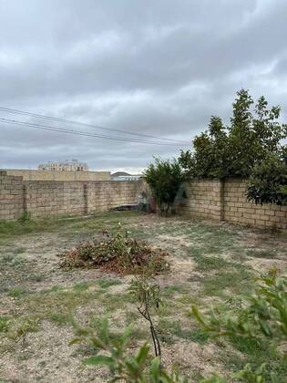 Torpaq Mehdiabad q., Bakı