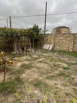 Torpaq Mehdiabad q., Bakı