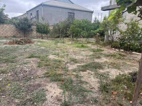 Torpaq Mehdiabad q., Bakı