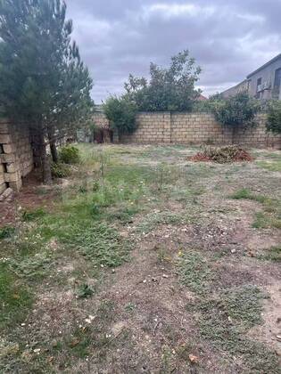 Torpaq Mehdiabad q., Bakı