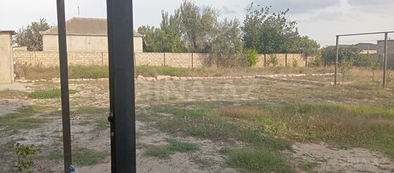 Torpaq Binə q., Bakı