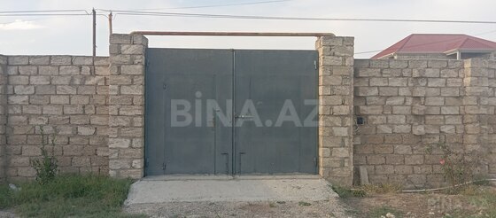 Torpaq Binə q., Bakı