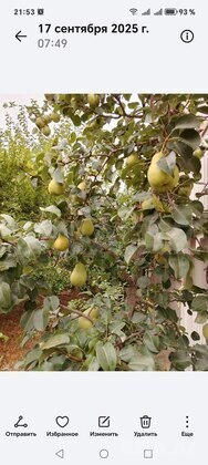 4 otaqlı Həyət evi/Bağ evi, Maştağa q., Bakı