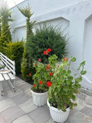 3 otaqlı Həyət evi/Bağ evi, Buzovna q., Bakı