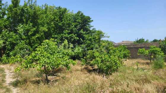 5 otaqlı Həyət evi/Bağ evi, Abşeron r., Bakı