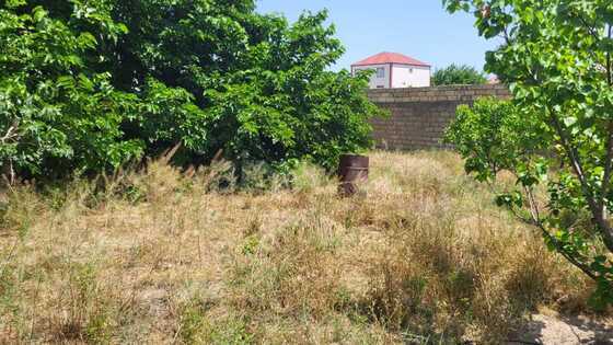 5 otaqlı Həyət evi/Bağ evi, Abşeron r., Bakı