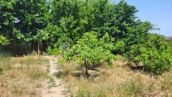 5 otaqlı Həyət evi/Bağ evi, Abşeron r., Bakı