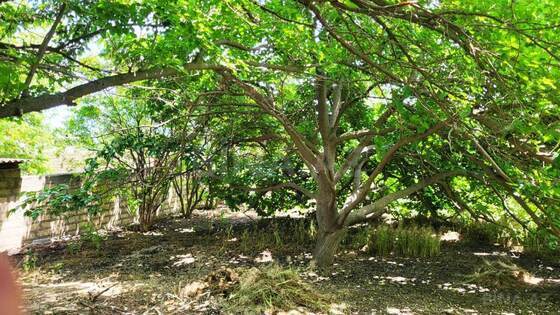 5 otaqlı Həyət evi/Bağ evi, Abşeron r., Bakı