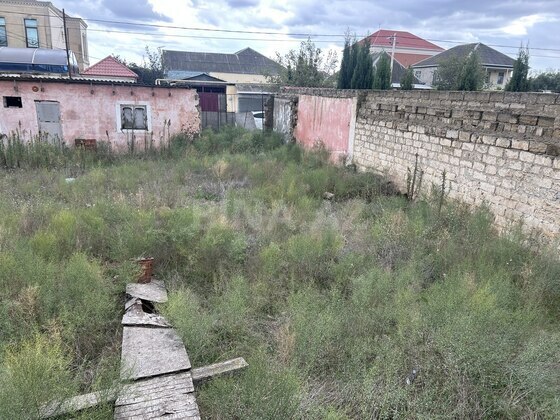 Torpaq Buzovna q., Bakı