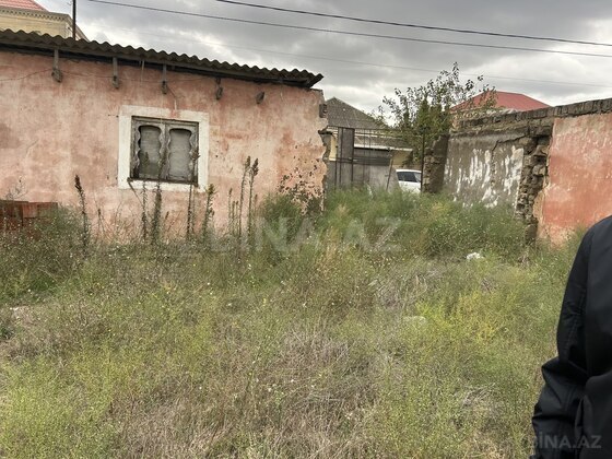 Torpaq Buzovna q., Bakı