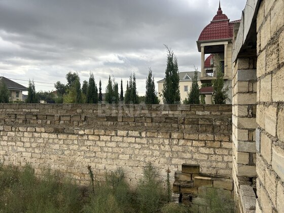 Torpaq Buzovna q., Bakı