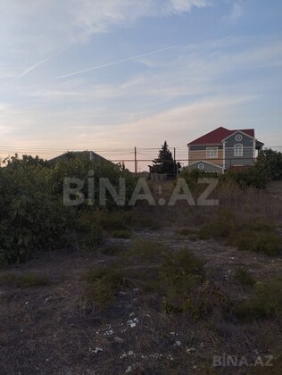 Torpaq Albalılıq q., Bakı