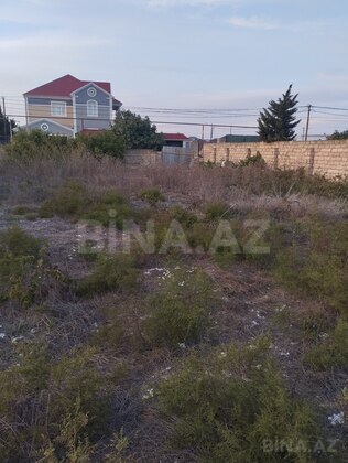 Torpaq Albalılıq q., Bakı