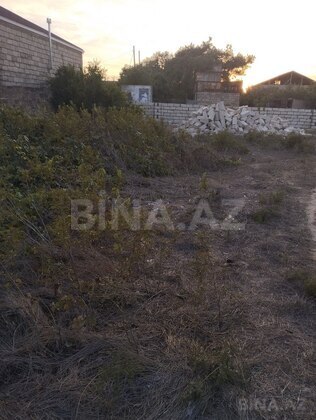 Torpaq Albalılıq q., Bakı
