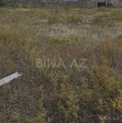 Torpaq Albalılıq q., Bakı