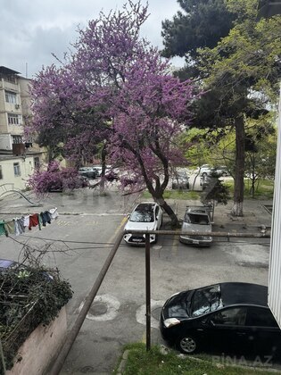 3 otaqlı Köhnə tikili, Elmlər Akademiyası m., Bakı
