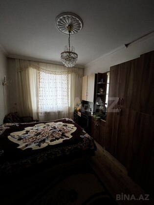 Torpaq Nardaran q., Bakı