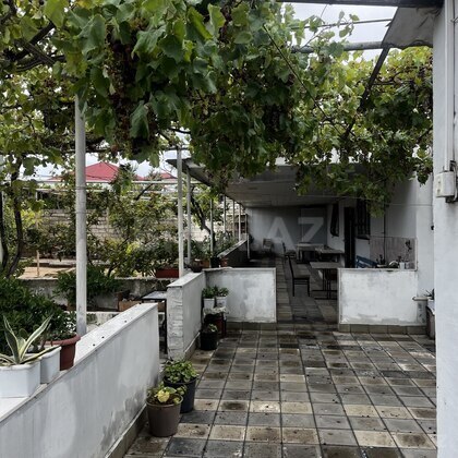 Torpaq Nardaran q., Bakı