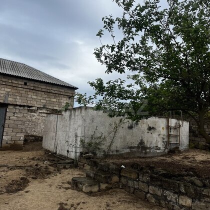 Torpaq Nardaran q., Bakı